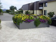Gartenumrandung quadratisch