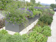 Gartenumrandung rechteckig